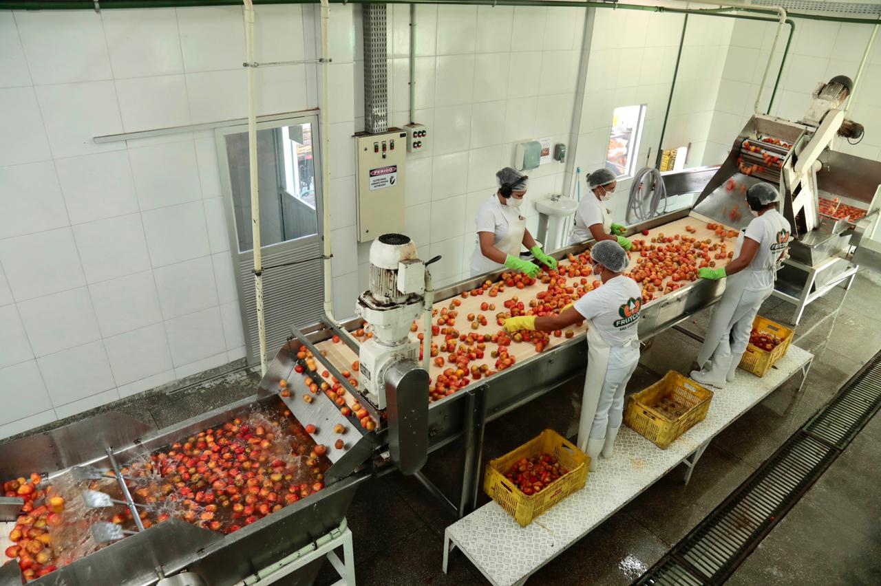 Read more about the article Governo investe e Frutcoop gera mais de 20 empregos em São Vicente