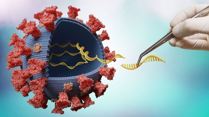 Read more about the article Reino Unido confirma dois casos da nova variante Ômicron; Alemanha e Holanda avaliam suspeitas