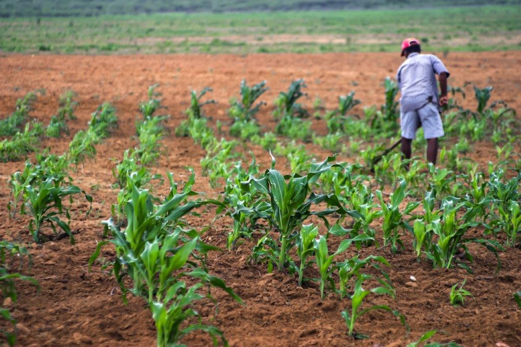 Read more about the article SEGURANÇA NA COMUNIDADE: PERÍODO CHUVOSO EXIGE CUIDADOS REDOBRADOS COM ENERGIA ELÉTRICA NA ZONA RURAL