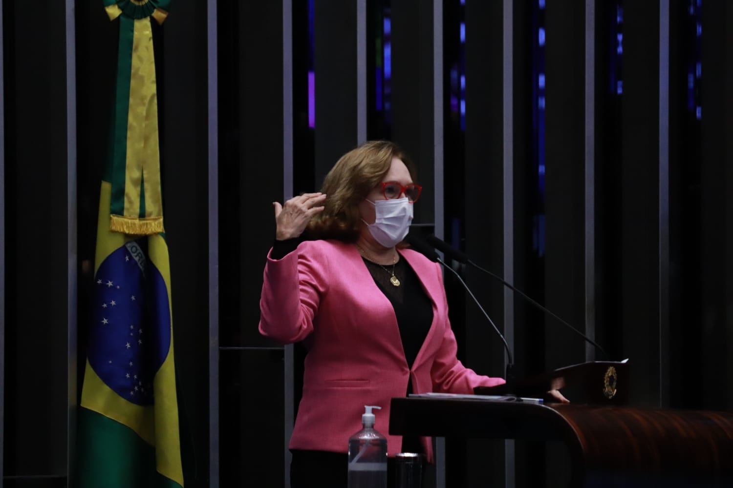 Read more about the article Zenaide condena “Pacote do Veneno” durante debate no Senado Federal