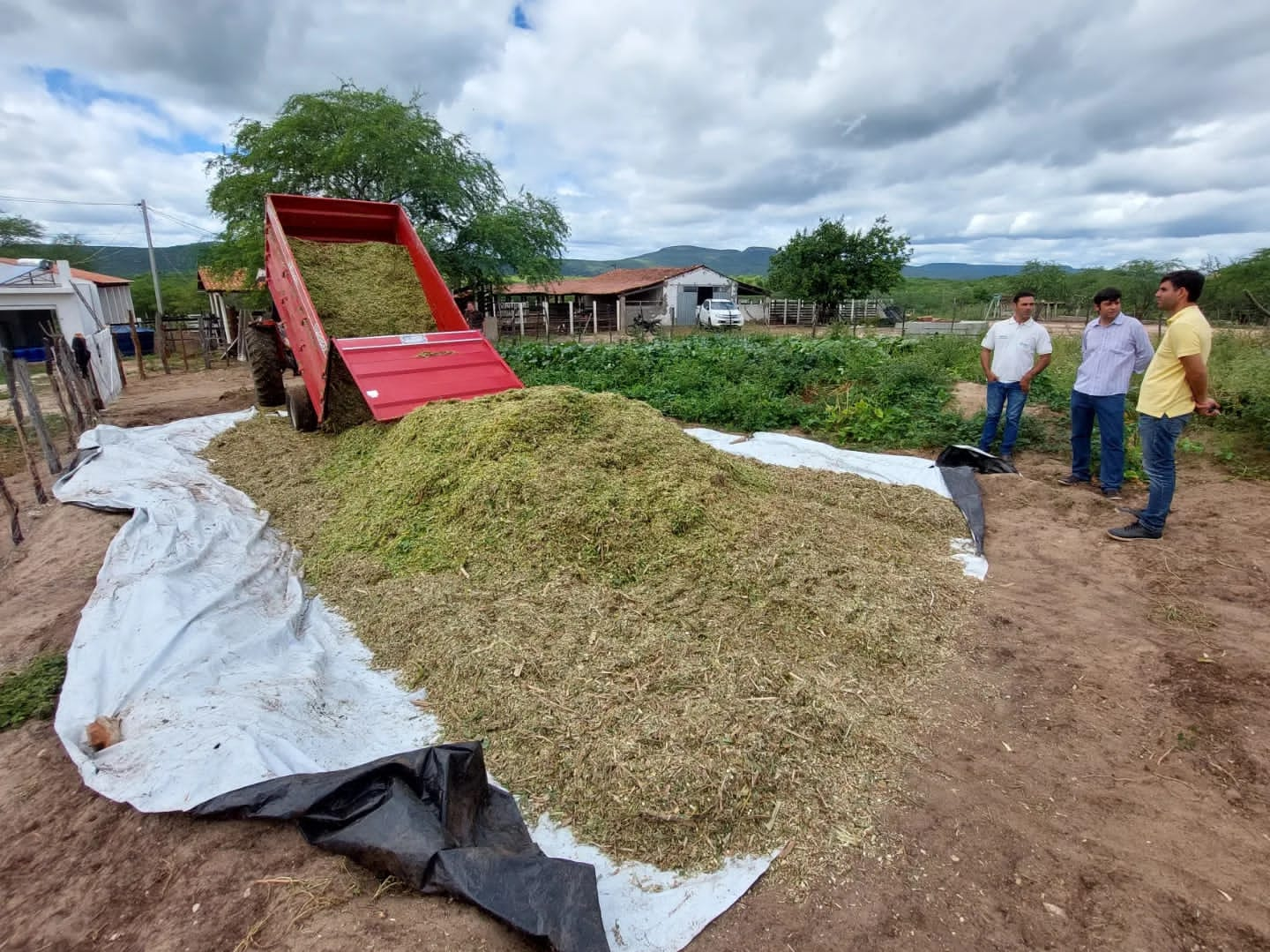 Read more about the article PROGRAMA DE SILAGEM É INICIADO NA ZONA RURAL DE CURRAIS NOVOS