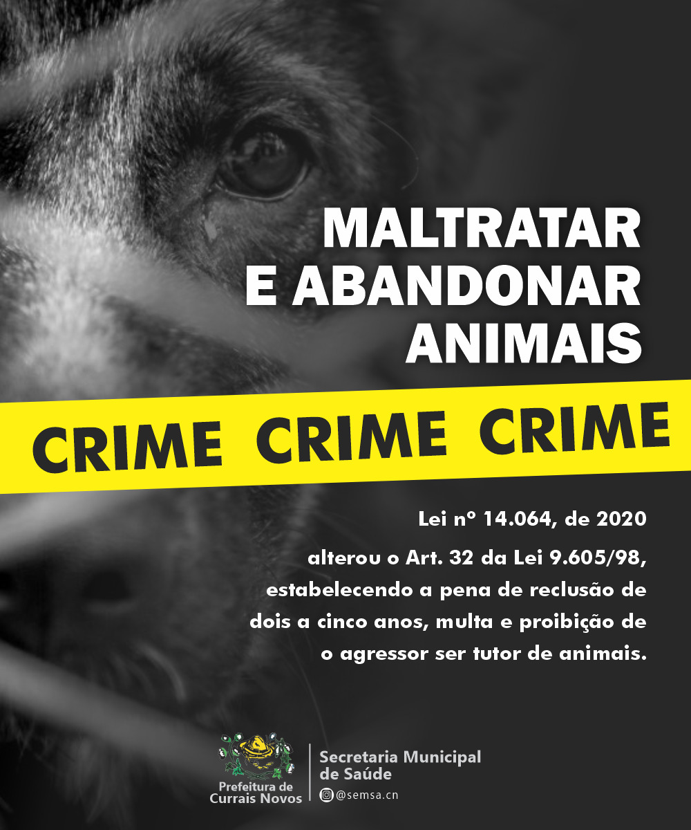 Read more about the article O abandono e maus tratos aos animais é crime