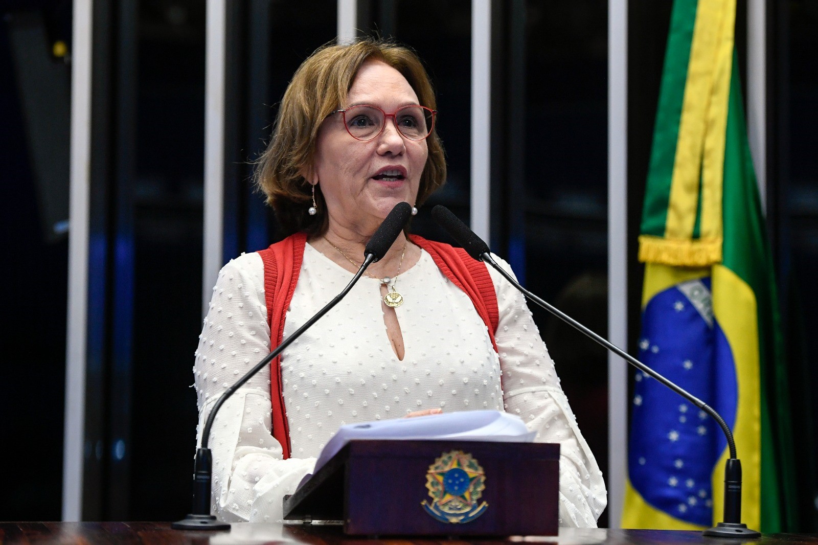 Read more about the article Com relatoria de Zenaide, Senado aprova criação do Dia da Mulher Empresária