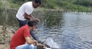 Read more about the article Currais Novos em parceria com a EMPARN distribuem peixes em açudes de comunidades